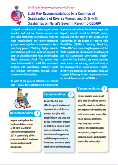 CEDAW Shadow Report Suggested Recommendations